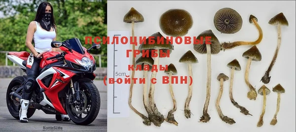 apvp Верея