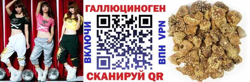 Псилоцибиновые грибы Psilocybe  сколько стоит  Мончегорск 
